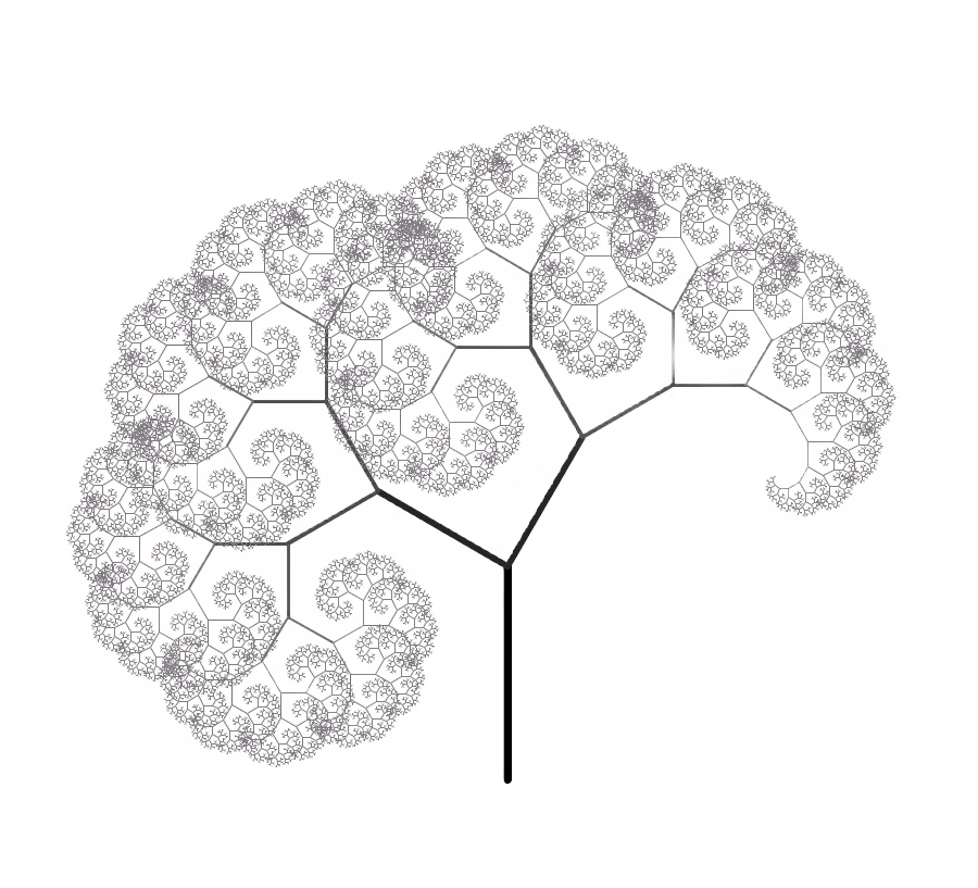 Fractal structure representing the social web